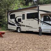 Review photo of Big Sur Campground & Cabins by Felipe F., April 26, 2021