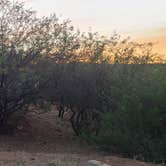 Review photo of Patagonia Lake State Park Campground by Christine , April 26, 2021