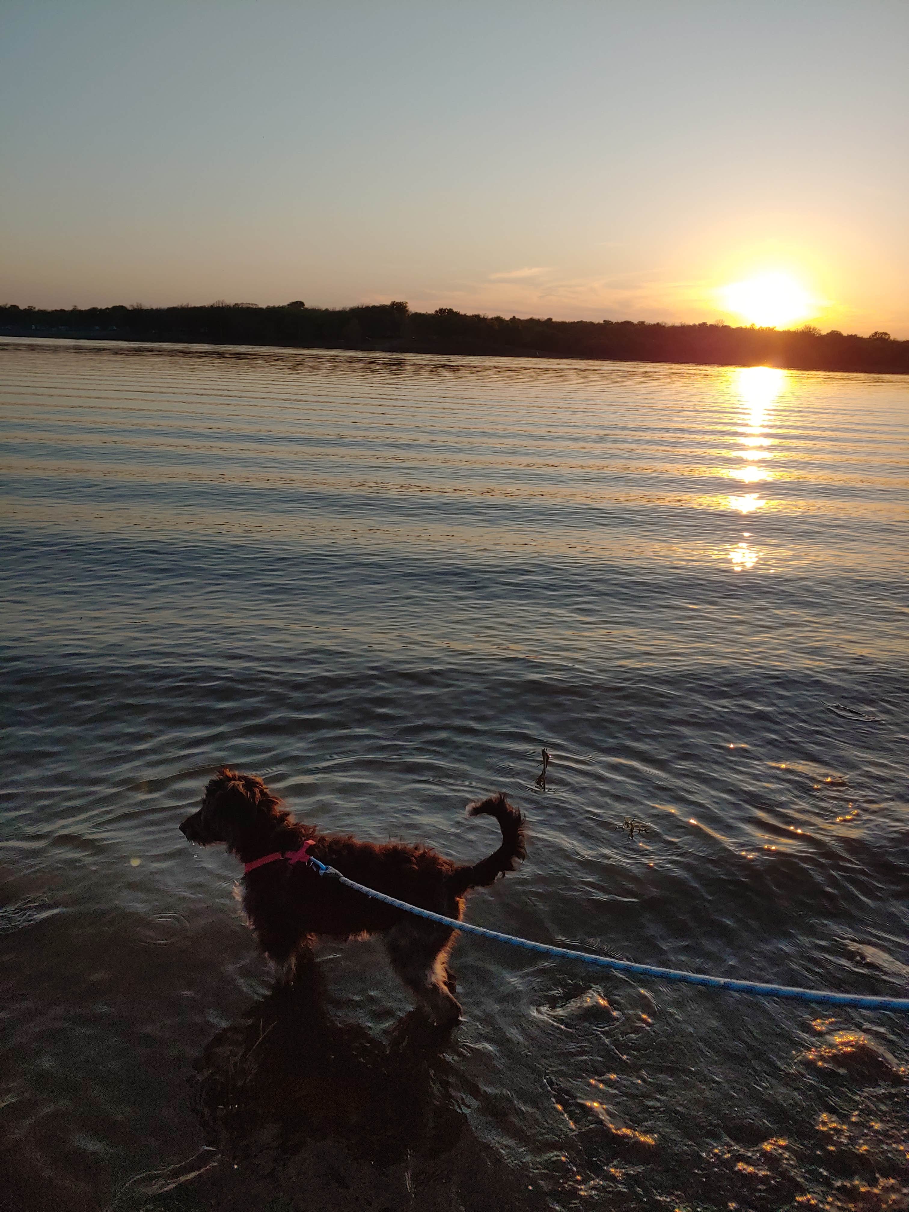 Camper-submitted photo at Flat Rock Creek near Wagoner, OK