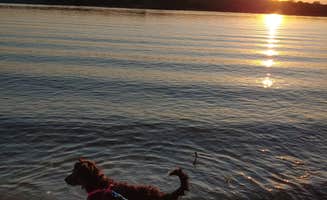 Logan H.'s photo of camping with pets at Flat Rock Creek near Tahlequah, OK