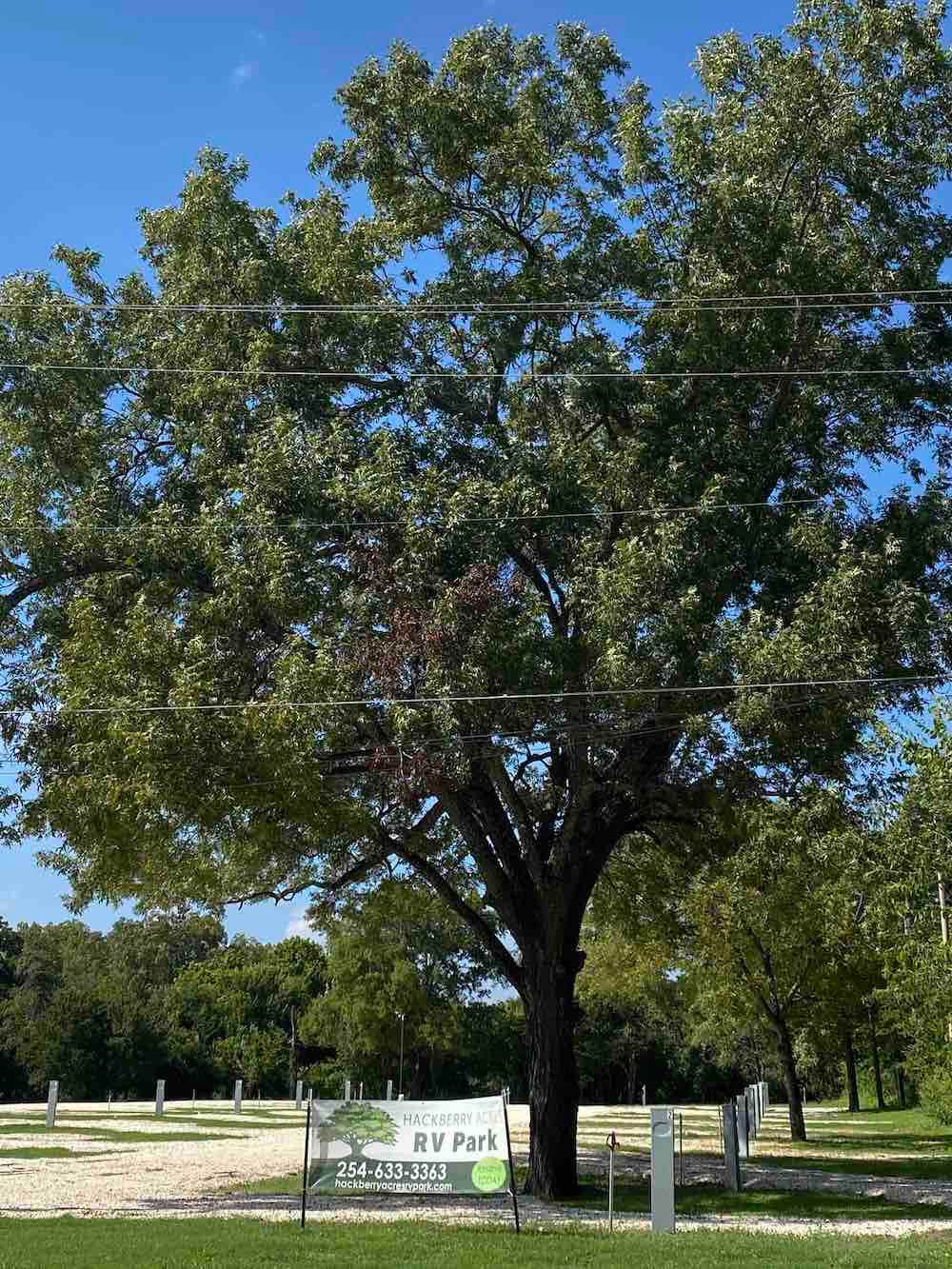 Camper-submitted photo at Hackberry Acres RV Park near Whitney Lake