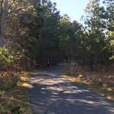 Review photo of Cape Henlopen State Park Campground by PhiladelphiaKaley R., June 1, 2018