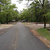 Review photo of Lake Poinsett State Park Campground by Gary P., April 26, 2021