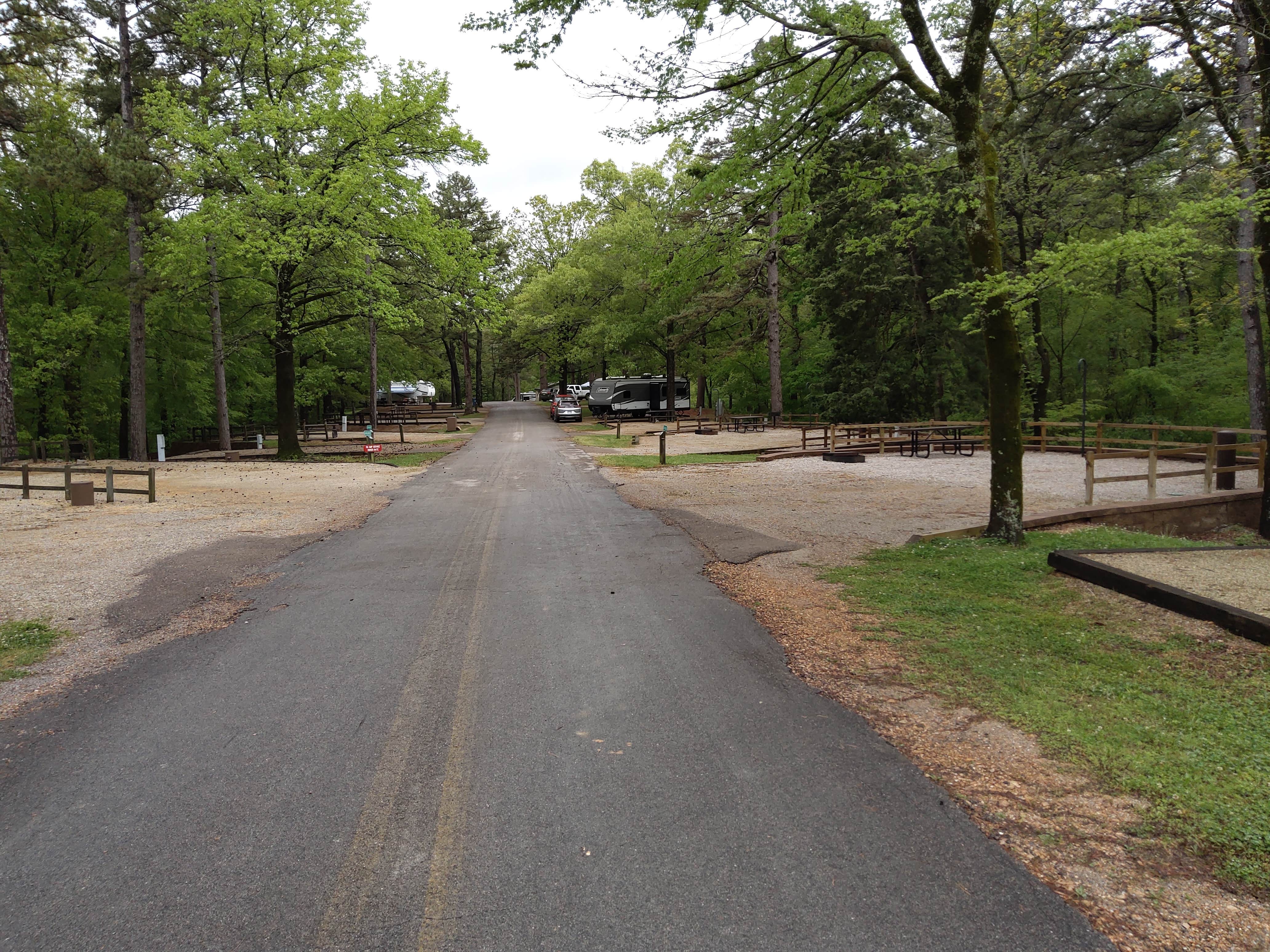 Camper submitted image from Lake Poinsett State Park Campground - 2