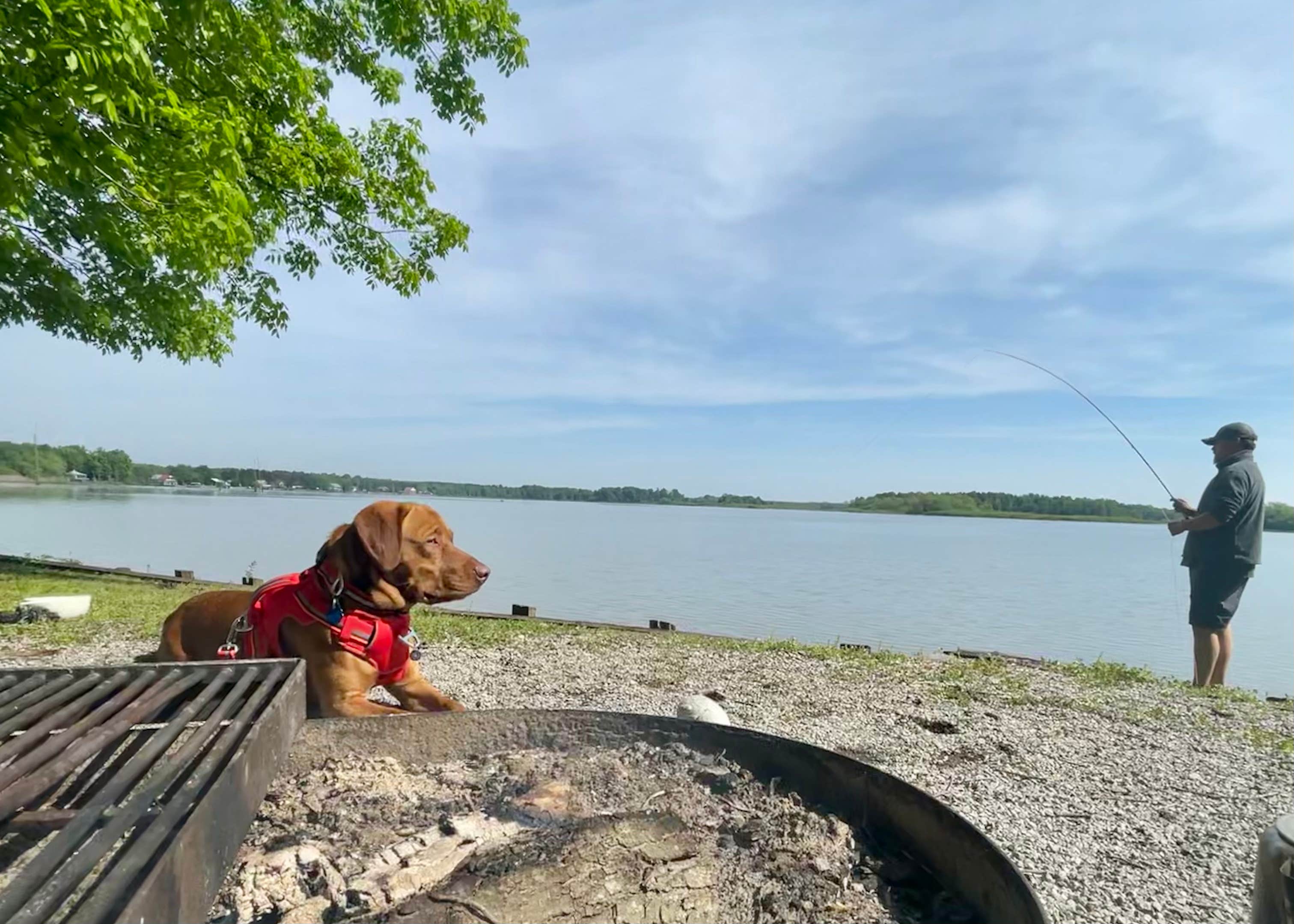 Allie T.'s photo of camping with pets at Blue Bluff Campground (aberdeen Ms) near Tupelo, MS