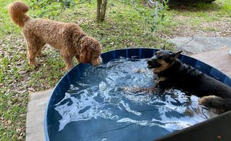 MaryAnn D.'s photo of camping with pets at Cypress Campground & RV Park near Auburndale, FL