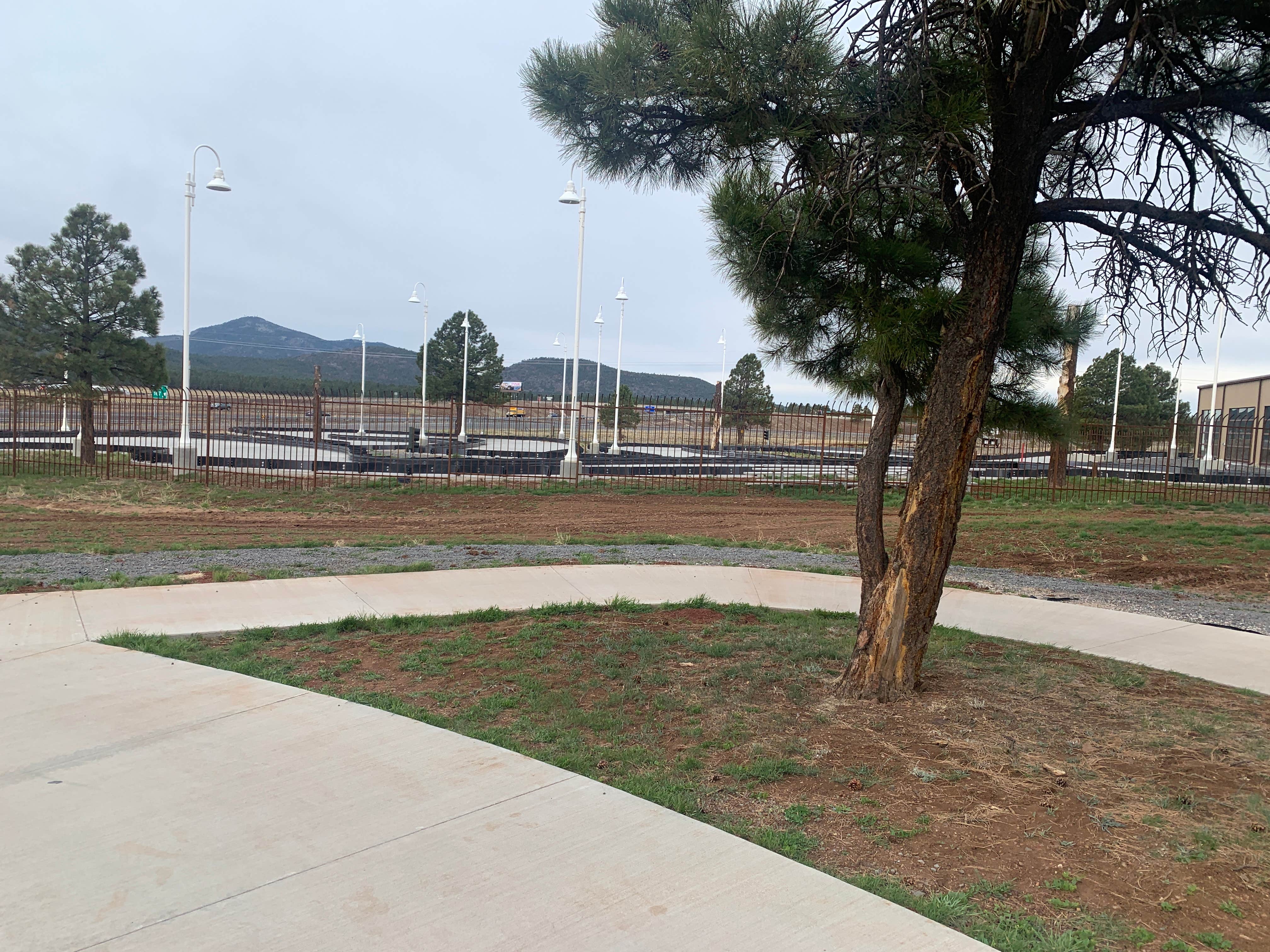 Camper submitted image from Williams-Circle Pines KOA - 3