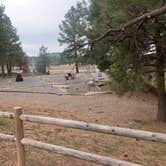 Review photo of Williams-Circle Pines KOA by Chris H., April 26, 2021