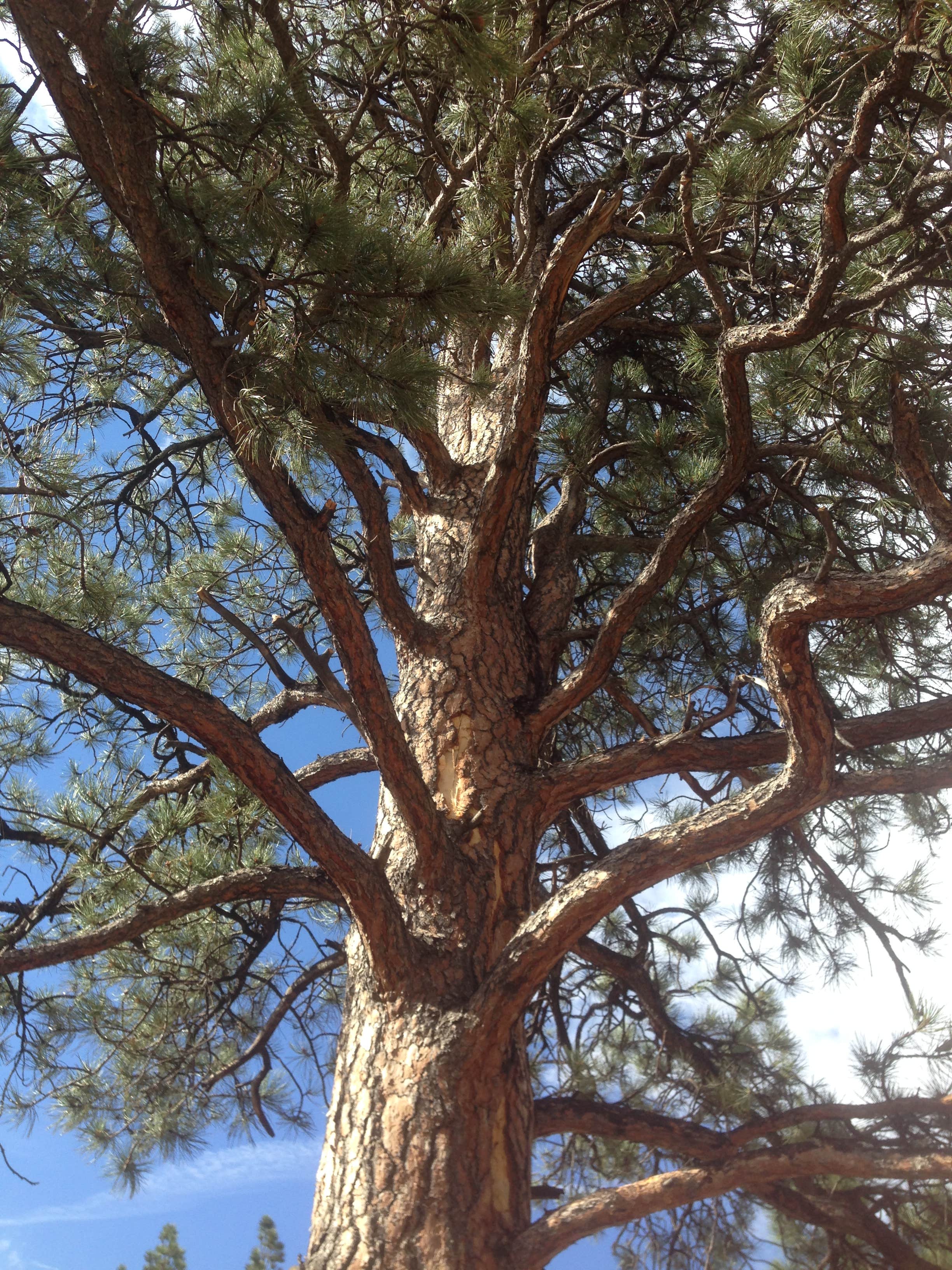 Camper submitted image from Wind Creek Campground — Keyhole State Park - 1