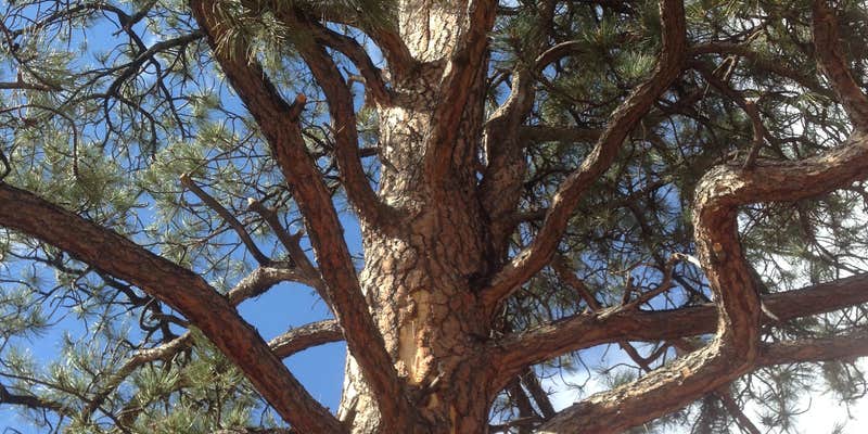 Camper submitted image from Wind Creek Campground — Keyhole State Park