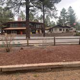 Review photo of Williams-Circle Pines KOA by Chris H., April 26, 2021