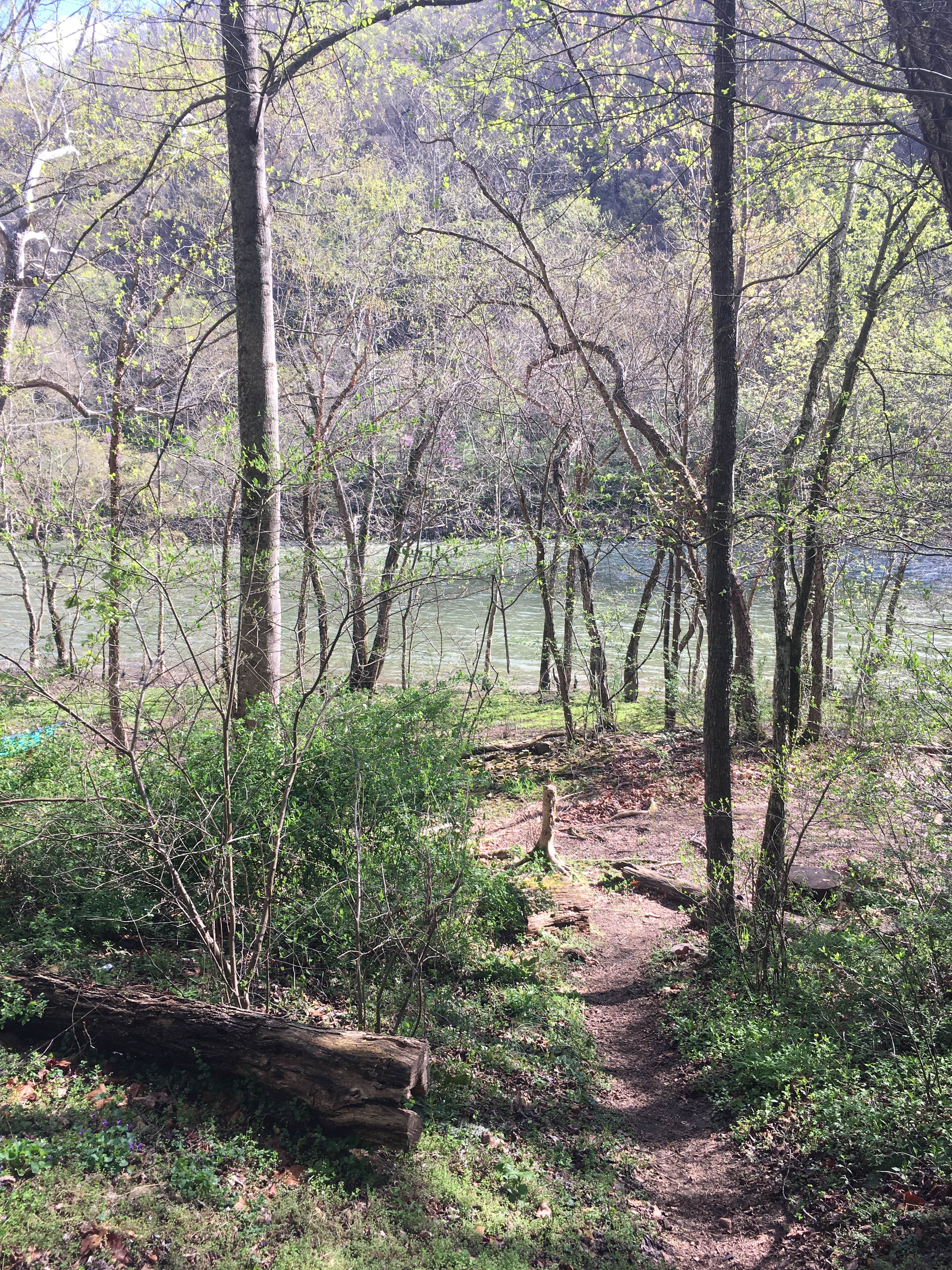 Stone Cliff Campground The Dyrt