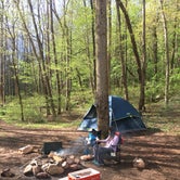 Review photo of Stone Cliff Campground — New River Gorge National Park and Preserve by James A., April 26, 2021