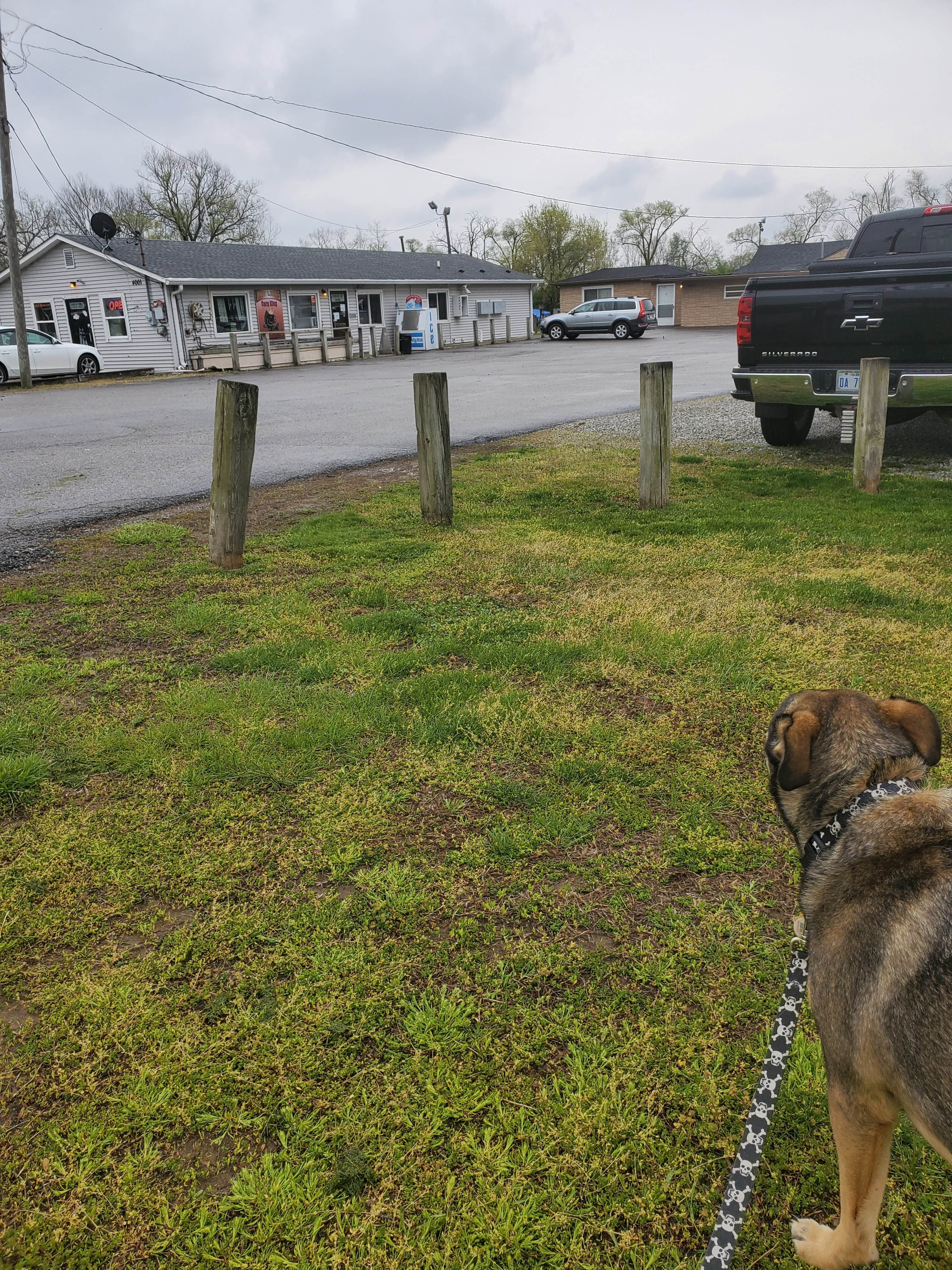 Camper submitted image from Indy Lakes Campground - 2