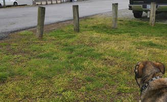 ProfG999's photo of camping with pets at Indy Lakes Campground near Waverly, IN
