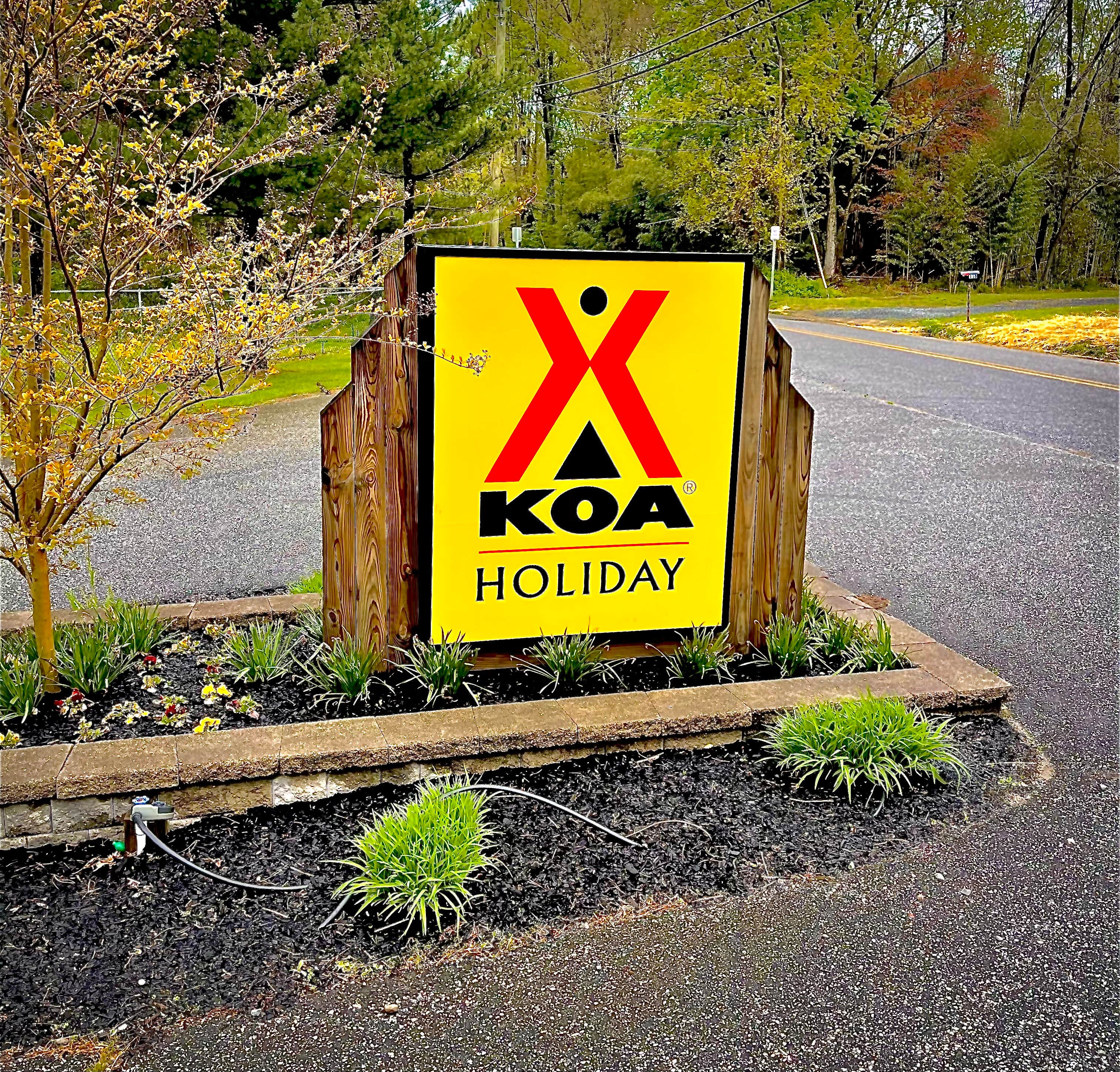 Philly best sale south koa