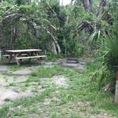 Review photo of Collier–Seminole State Park Campground by Dave V., June 1, 2018