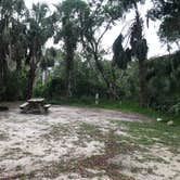 Review photo of Collier–Seminole State Park Campground by Dave V., June 1, 2018