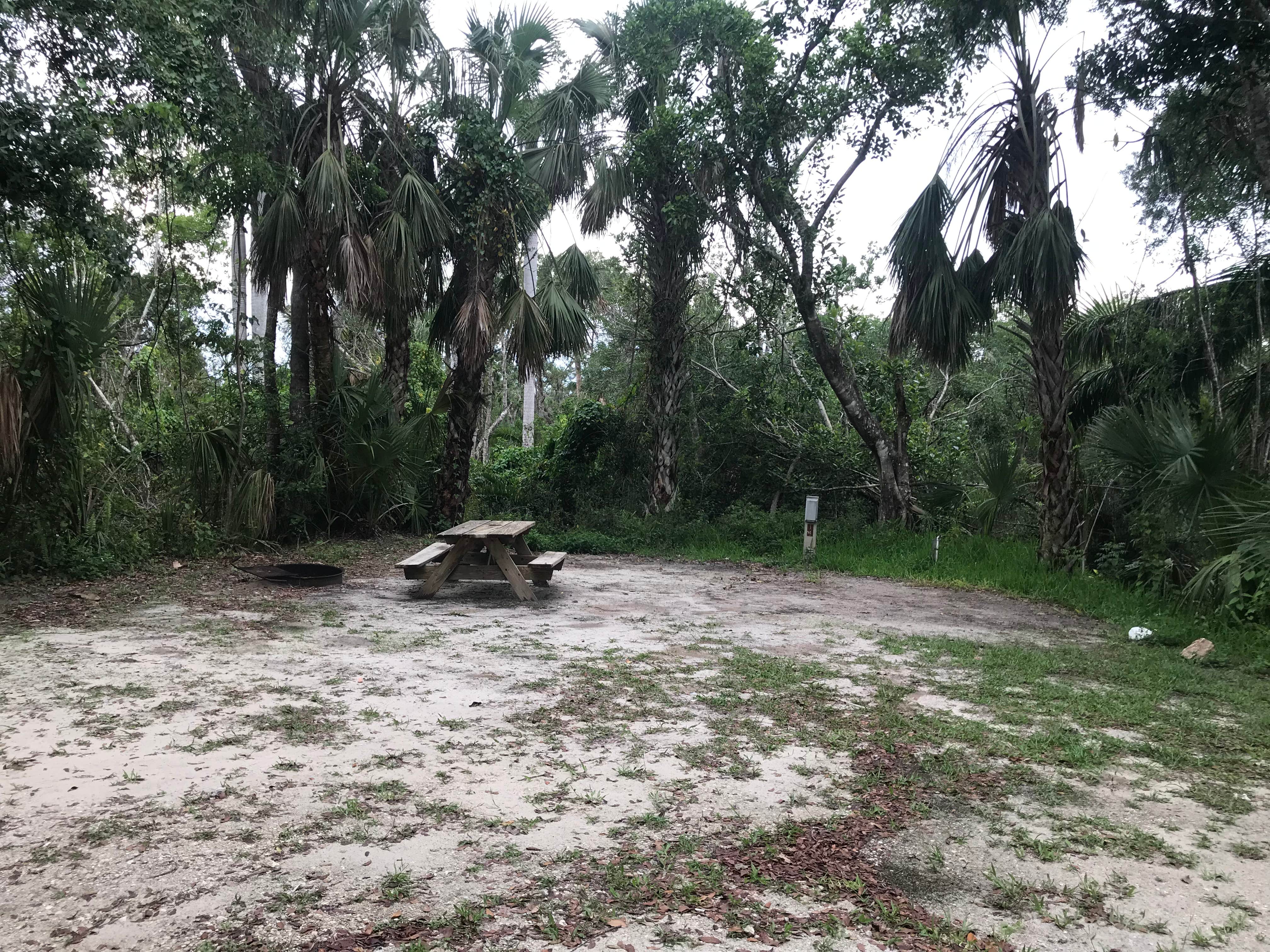 Camper submitted image from Collier-Seminole State Park - 2