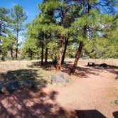 Review photo of Fool Hollow Lake Recreation Area Campground by Tom , April 26, 2021