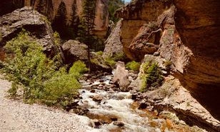 Camping near Doyle Creek Campground: Crazy Woman Canyon Road - dispersed camping, Buffalo, Wyoming