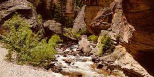 Camper submitted image from Crazy Woman Canyon Road - dispersed camping