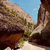 Review photo of Crazy Woman Canyon Road - dispersed camping by GoWhereYouAreDraw N., April 26, 2021
