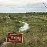 Review photo of Collier–Seminole State Park Campground by Dave V., June 1, 2018