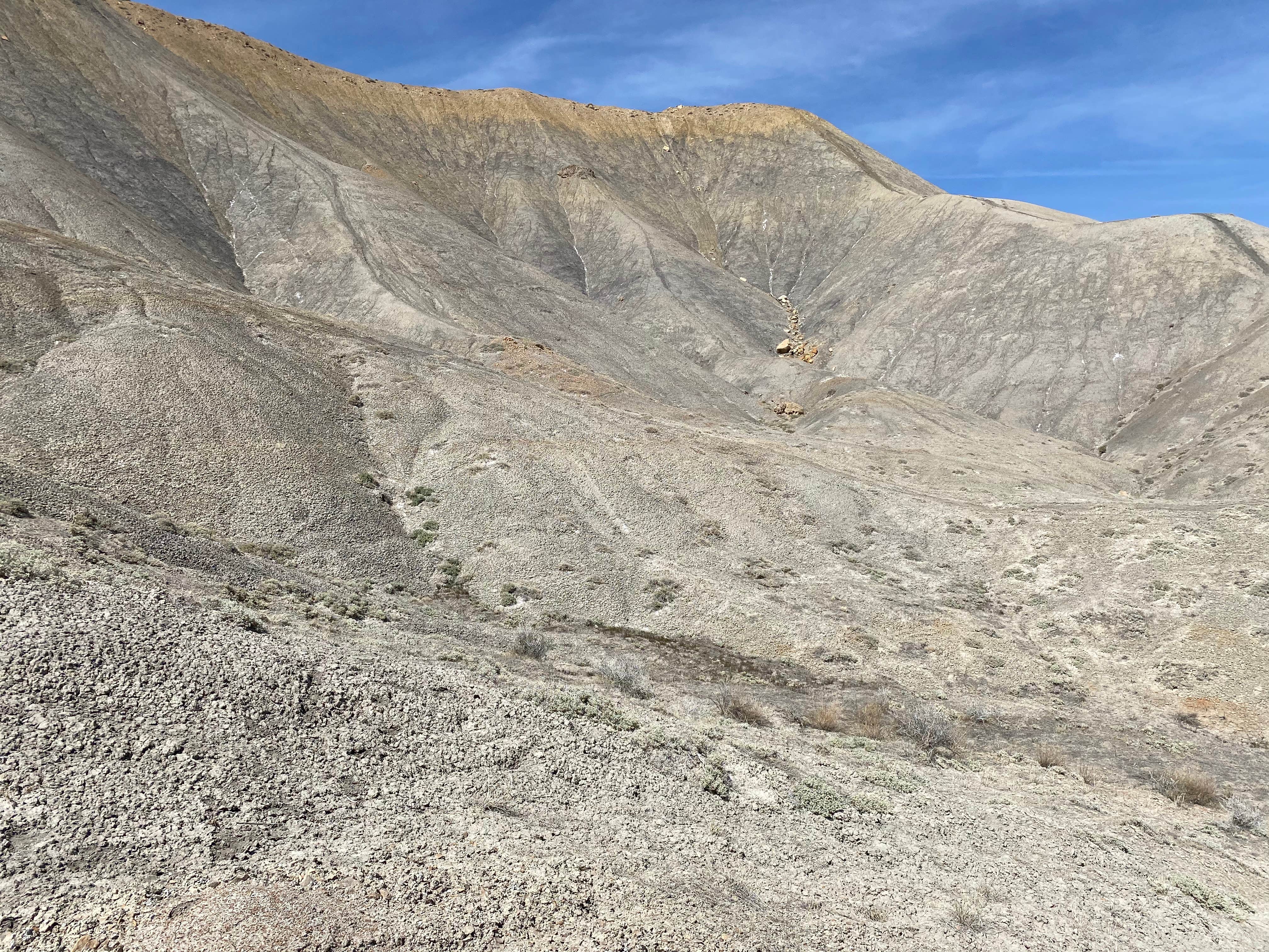 Camper submitted image from Grand Junction Desert Road Recreation Area BLM - 2