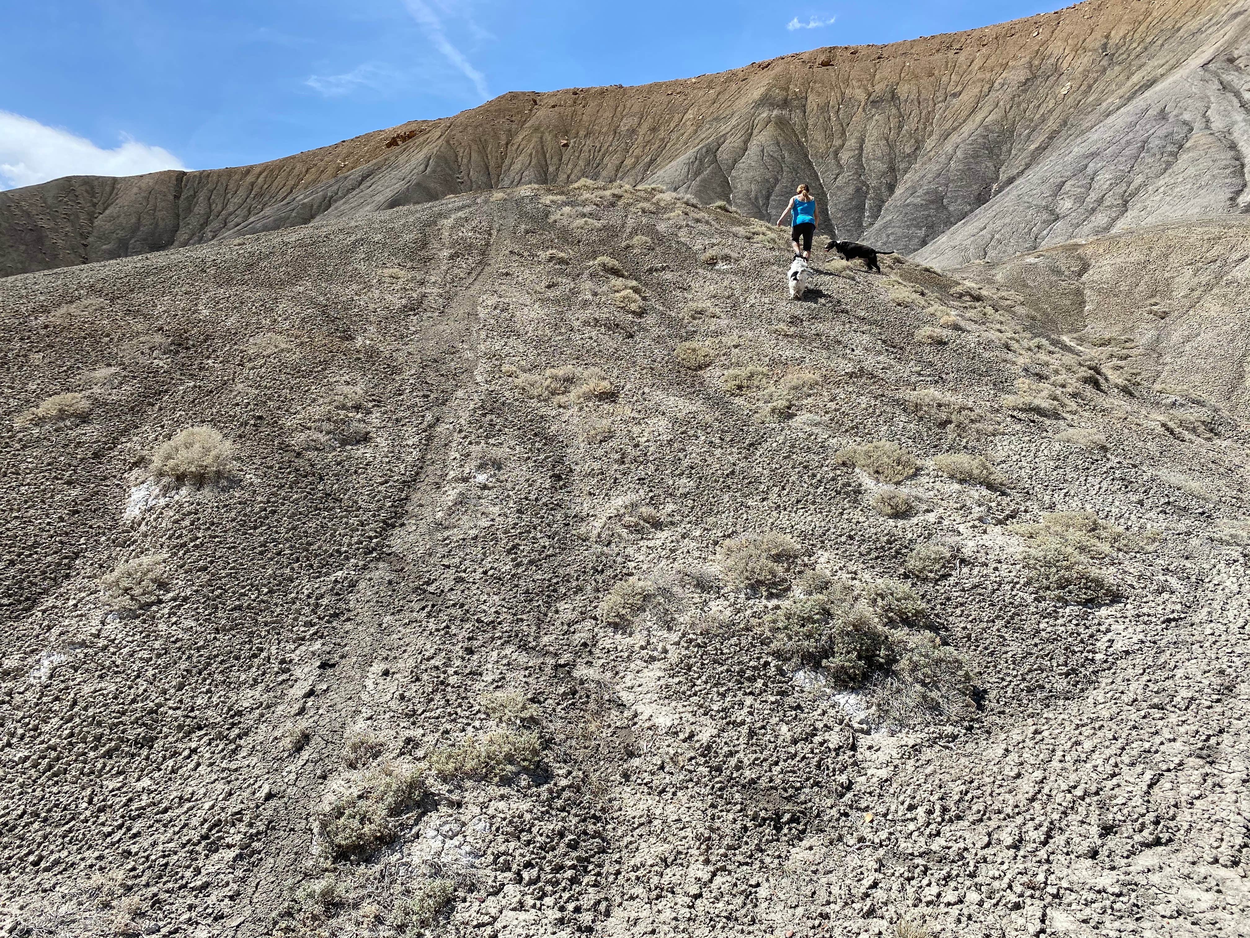 Camper submitted image from Grand Junction Desert Road Recreation Area BLM - 5