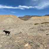 Review photo of Grand Junction Desert Road Recreation Area BLM by Jeff N., April 26, 2021