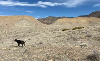 Jeff N.'s photo of camping with pets at Grand Junction Desert Road Recreation Area BLM near Fruita, CO