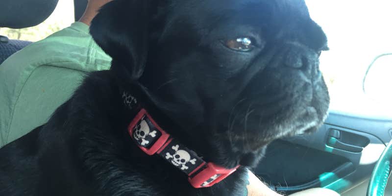 Camper submitted image from Blue Ridge Campground