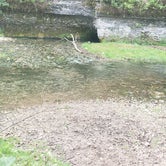 Review photo of Forestville Mystery Cave State Park by Megan J., April 26, 2021