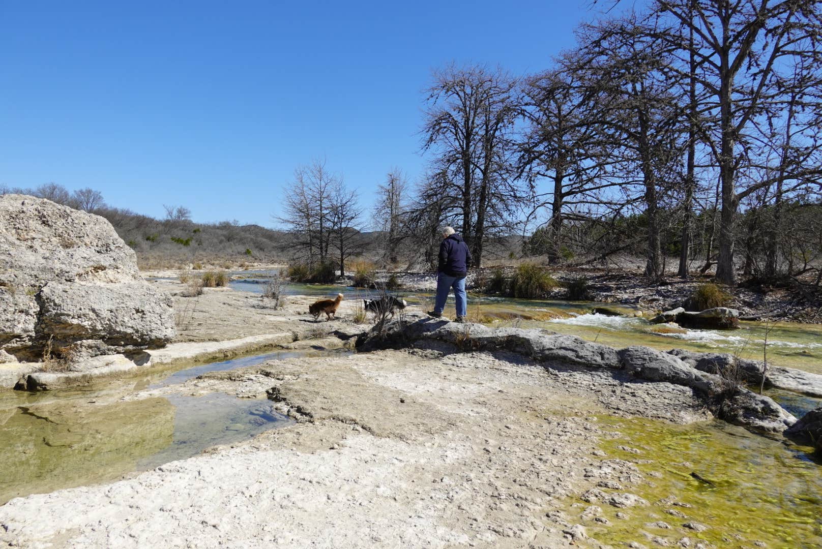 Lori C.'s photo of camping with pets at Rio Frio — Garner State Park near Vanderpool, TX