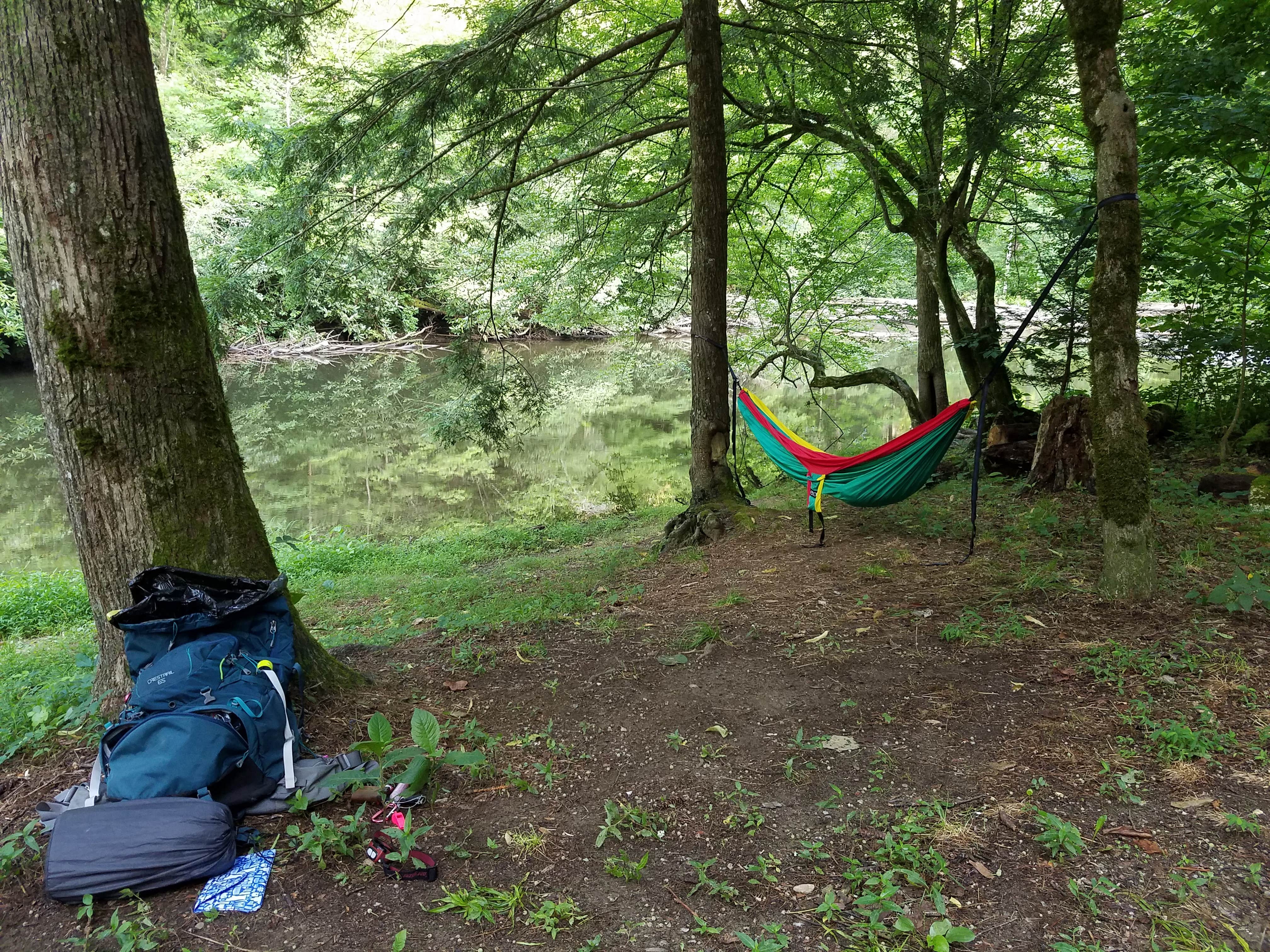 Camper submitted image from Abrams Creek Campground — Great Smoky Mountains National Park - 4
