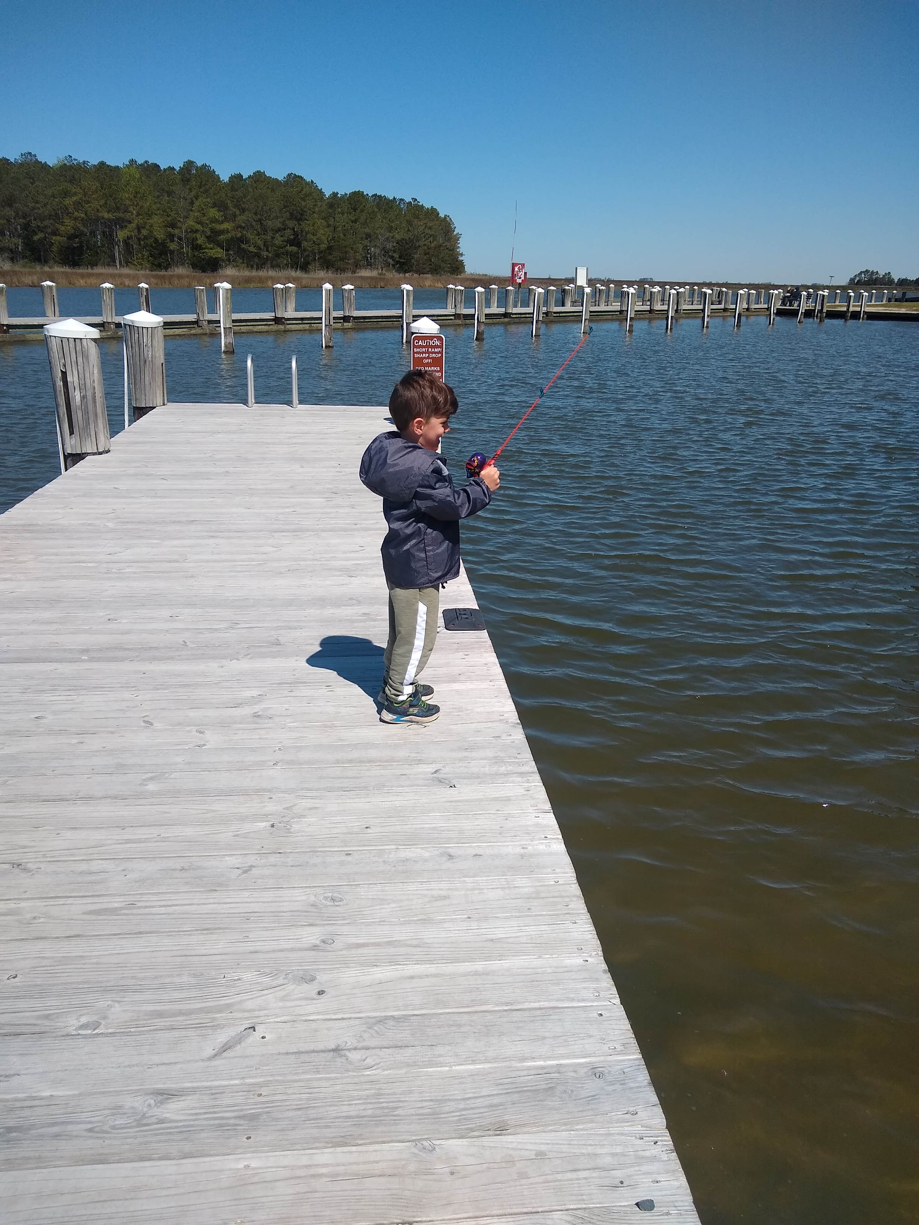 Escape to Janes Island: Maryland's Hidden Gem