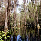 Review photo of Stephen C. Foster State Park Campground by Christy F., April 27, 2021