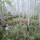 Review photo of Stephen C. Foster State Park Campground by Christy F., April 27, 2021