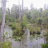 Review photo of Stephen C. Foster State Park Campground by Christy F., April 27, 2021