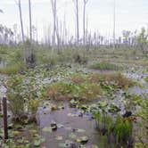 Review photo of Stephen C. Foster State Park Campground by Christy F., April 27, 2021