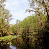 Review photo of Stephen C. Foster State Park Campground by Christy F., April 27, 2021