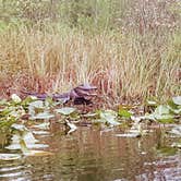 Review photo of Stephen C. Foster State Park Campground by Christy F., April 27, 2021