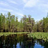 Review photo of Stephen C. Foster State Park Campground by Christy F., April 27, 2021