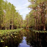 Review photo of Stephen C. Foster State Park Campground by Christy F., April 27, 2021