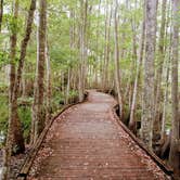 Review photo of Stephen C. Foster State Park Campground by Christy F., April 27, 2021