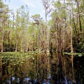 Review photo of Stephen C. Foster State Park Campground by Christy F., April 27, 2021