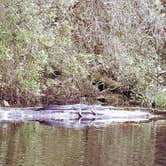 Review photo of Stephen C. Foster State Park Campground by Christy F., April 27, 2021