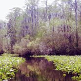 Review photo of Stephen C. Foster State Park Campground by Christy F., April 27, 2021