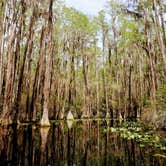 Review photo of Stephen C. Foster State Park Campground by Christy F., April 27, 2021